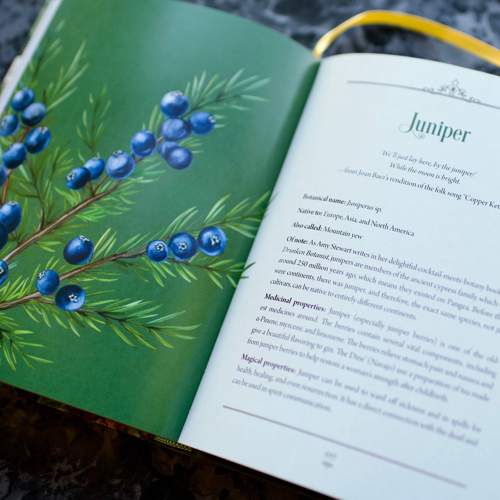 Enchanted Plants: A Treasury of Botanical Folklore and Magic