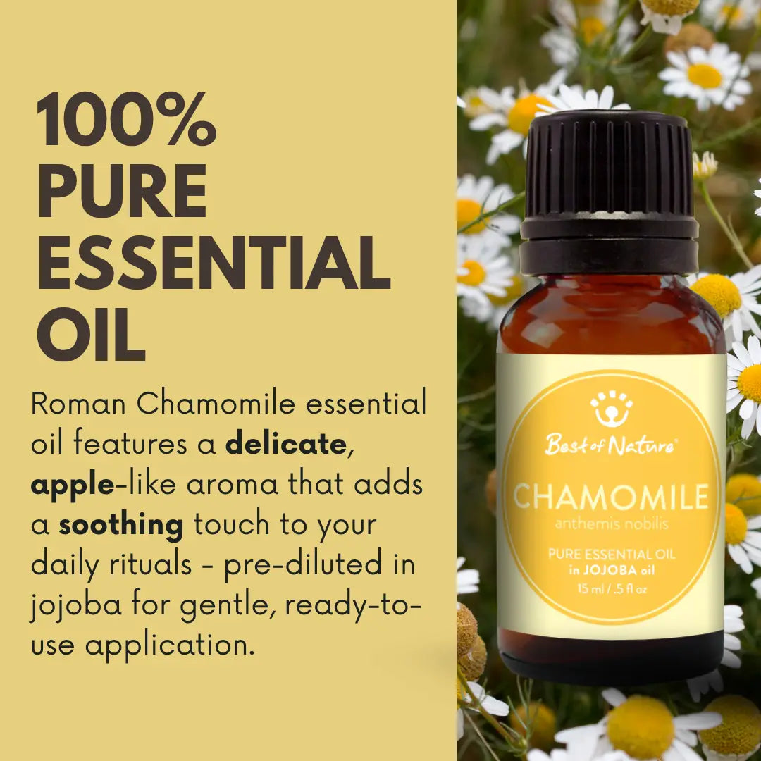 Roman Chamomile Essential Oil Blended with Jojoba Oil