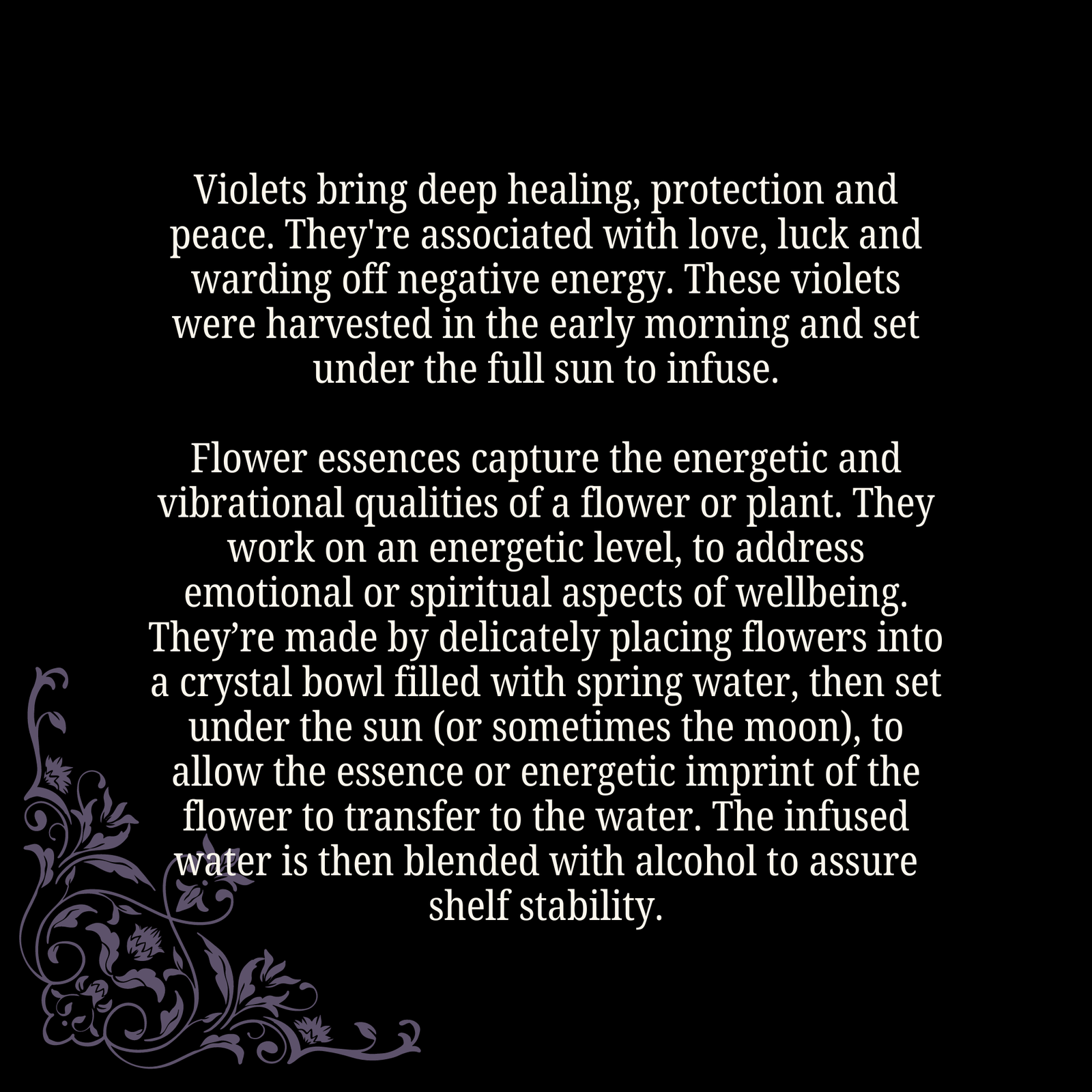 Violet Flower Essence • Protection & Peace for Deep Healing