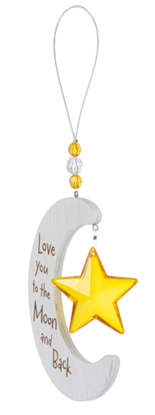 Love You to The Moon and Back Ornament and Star Prism