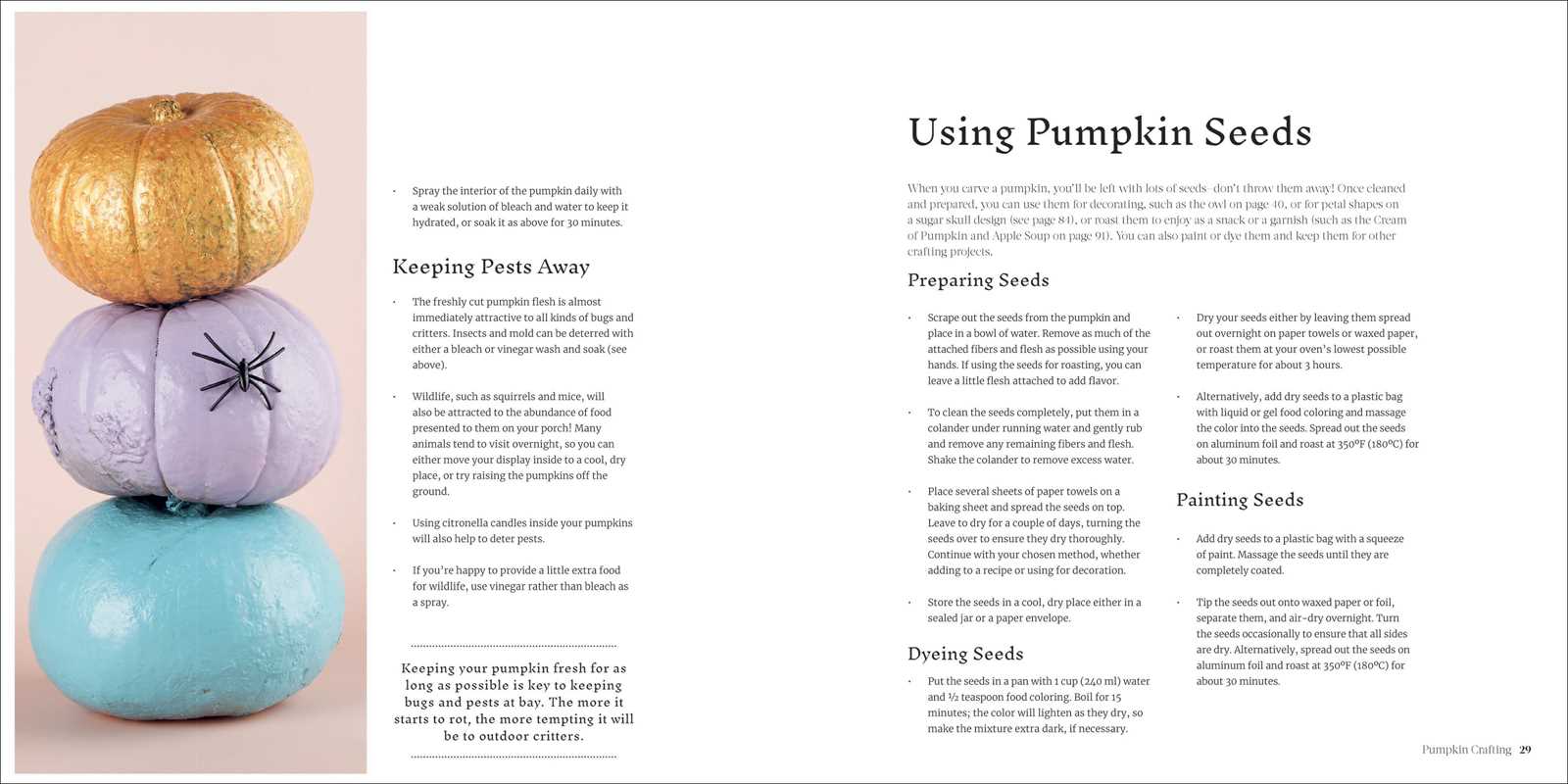 Pumpkin Crafting for Carving, Painting, and Decorating!