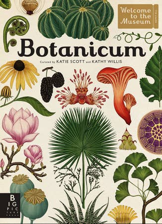 Botanicum: A Stunning Botanical Field Guide for Curious Readers