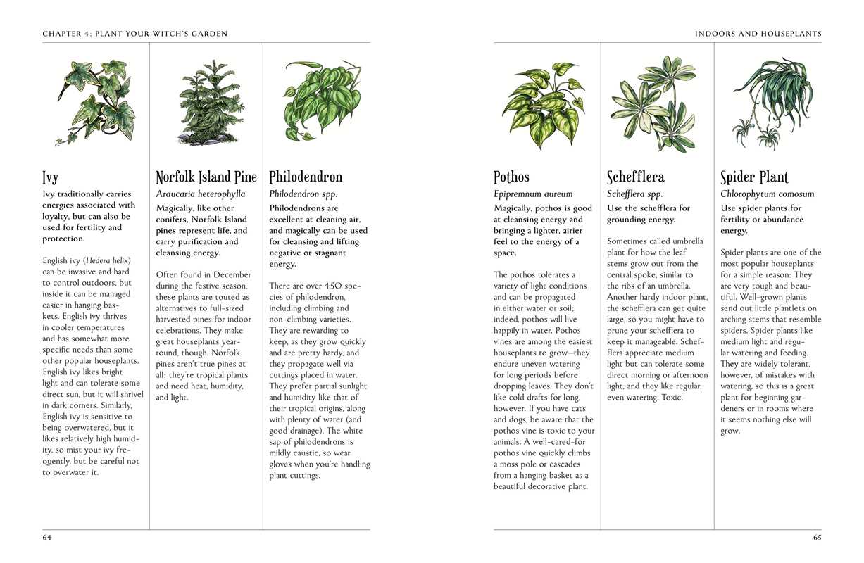 Green Witch's Garden by Arin Murphy-Hiscock