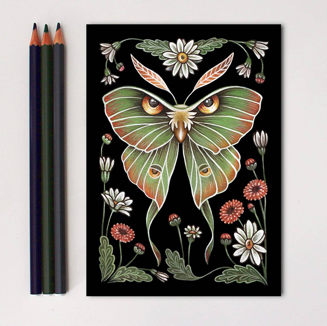 Moth Art Print Folk Decor Print