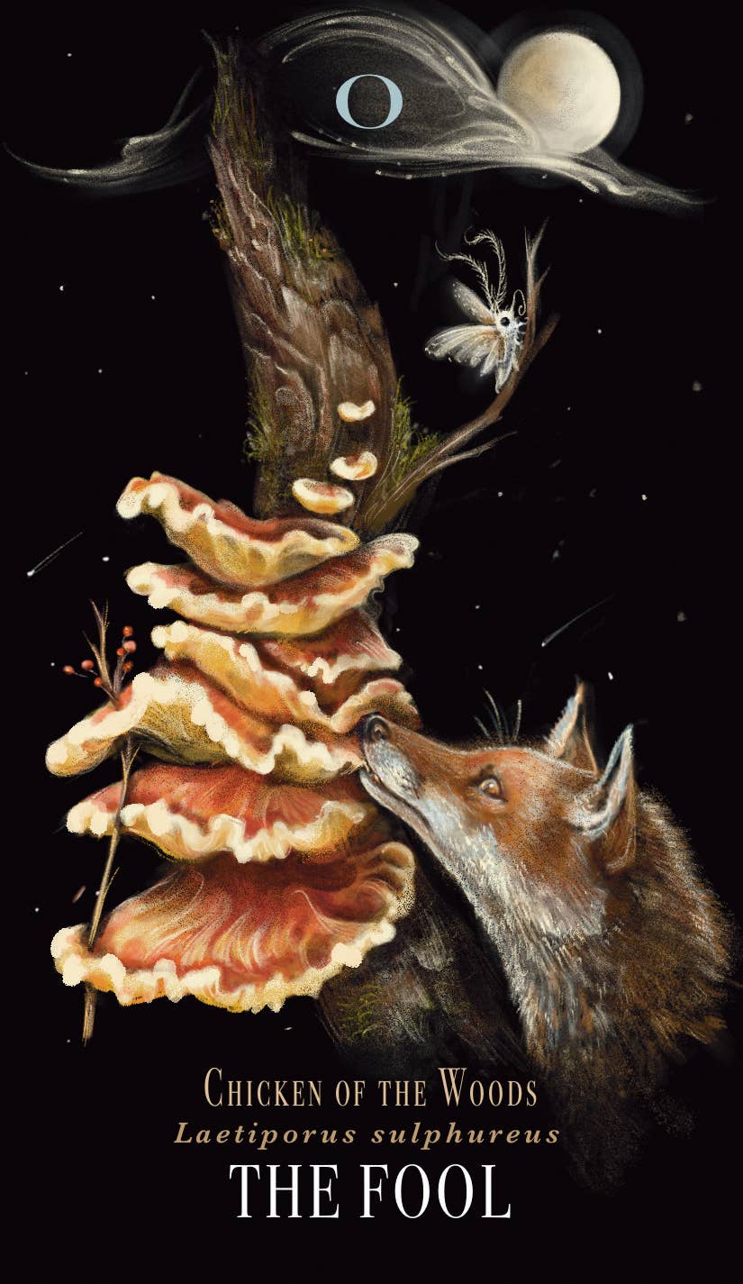 Midnight Magic Tarot by Sara Richard