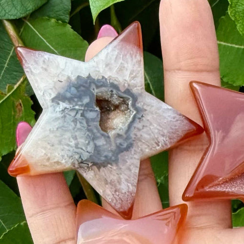Hand holding five star-shaped geode crystals with a green leafy background