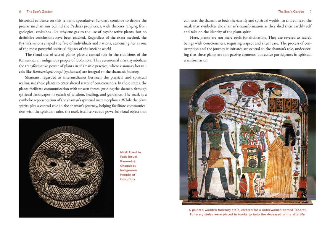 Root in Every Ritual by Jacqueline N. Norton