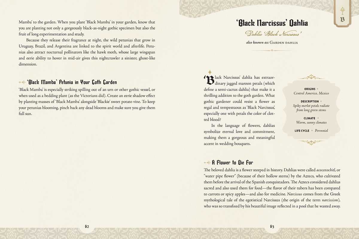 The Goth Garden – Dark Botanical Lore, Gothic Plants & Enchanting Garden Inspiration