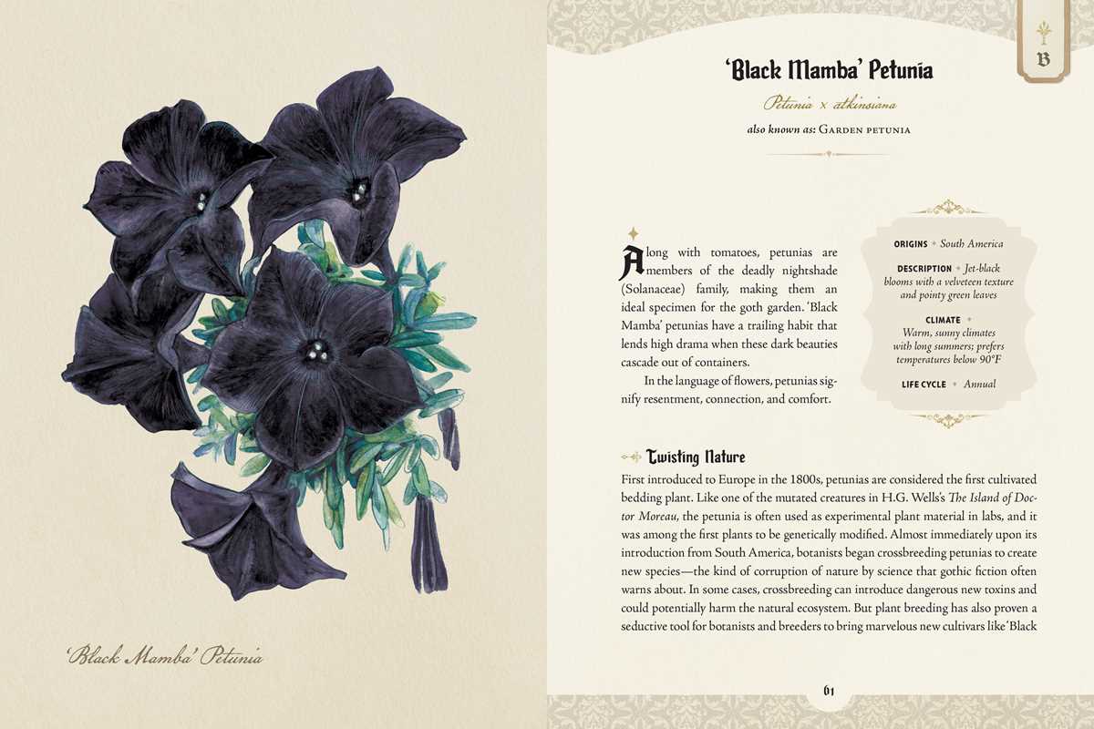 The Goth Garden – Dark Botanical Lore, Gothic Plants & Enchanting Garden Inspiration