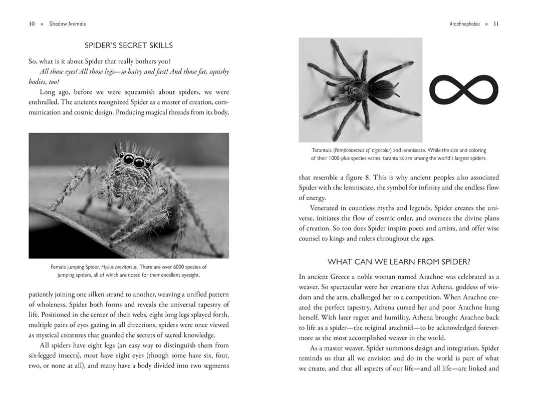 Shadow Animals – Animal Spirit Guides, Shadow Work & Transformative Healing