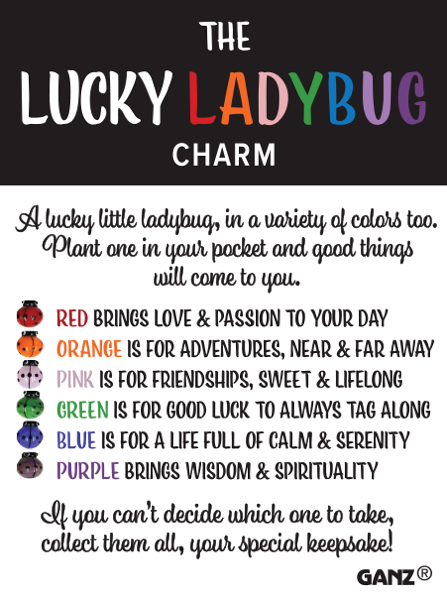 ONE Tiny Little LUCKY Ladybug Charm