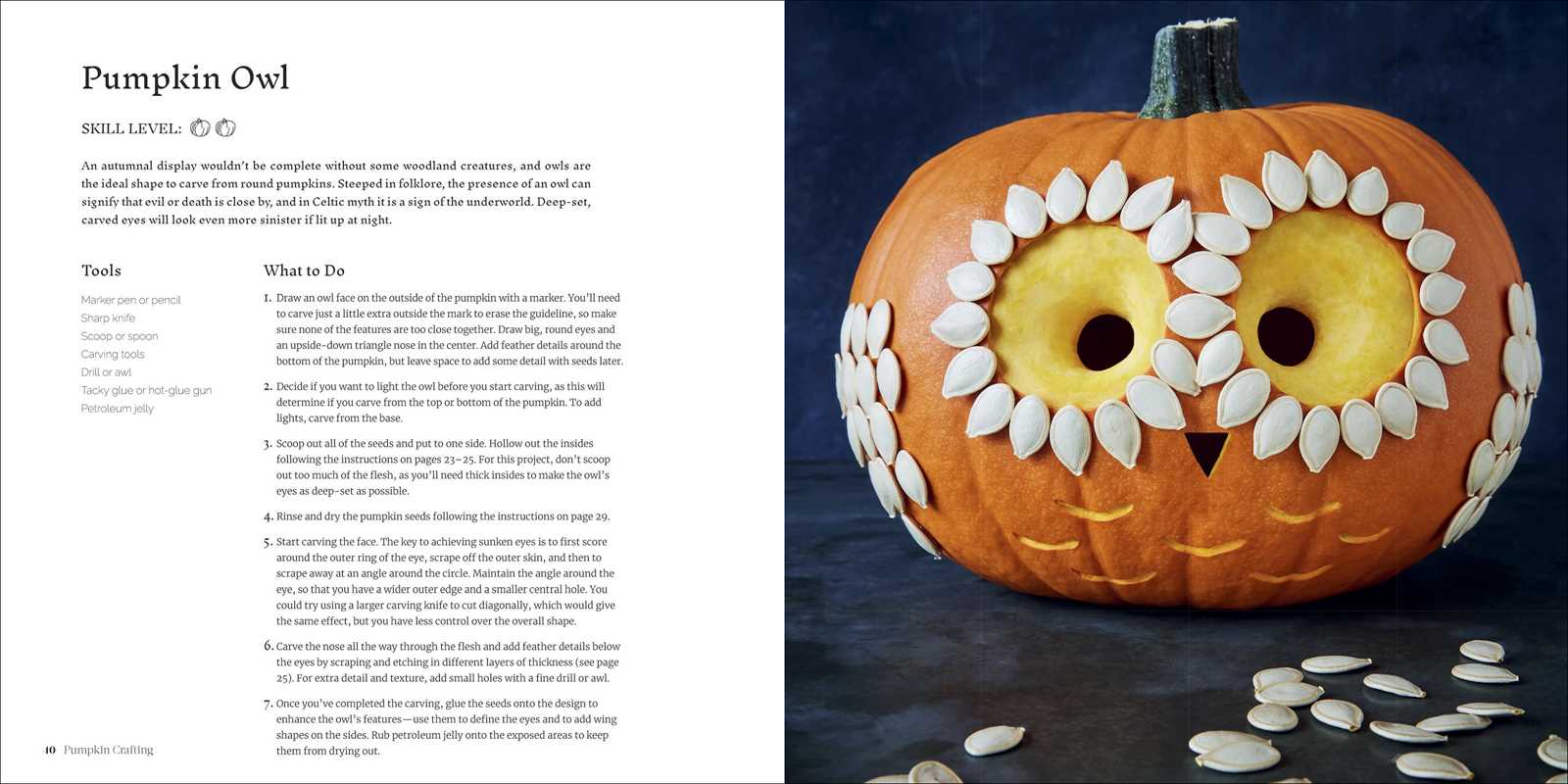 Pumpkin Crafting for Carving, Painting, and Decorating!
