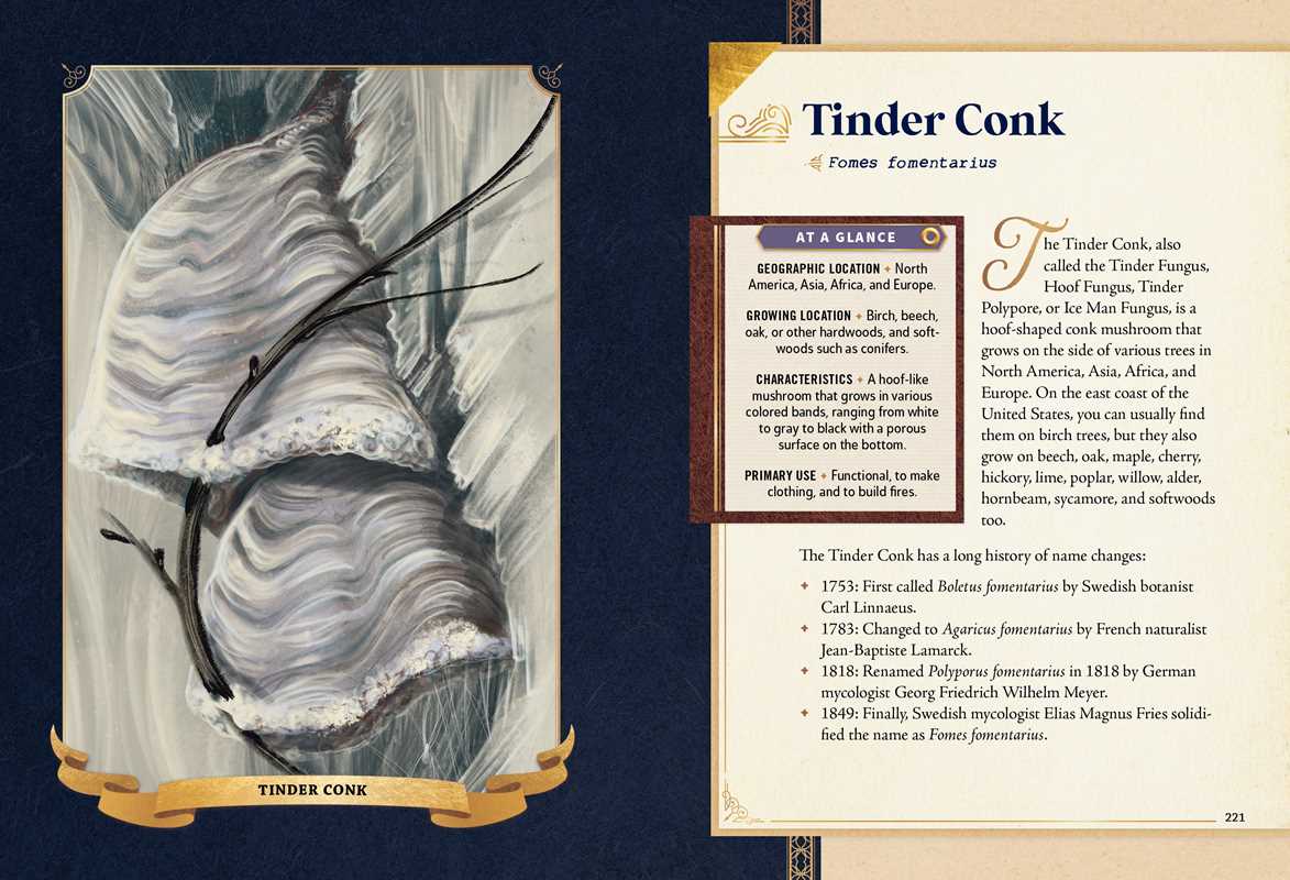 Little Book of Mushrooms by Alex Dorr