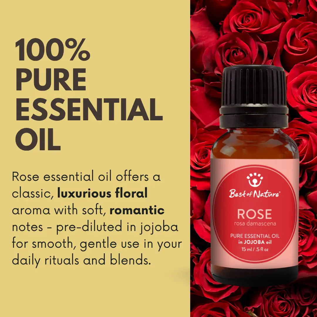 Rose Absolute Essential Oil Blended with Jojoba Oil
