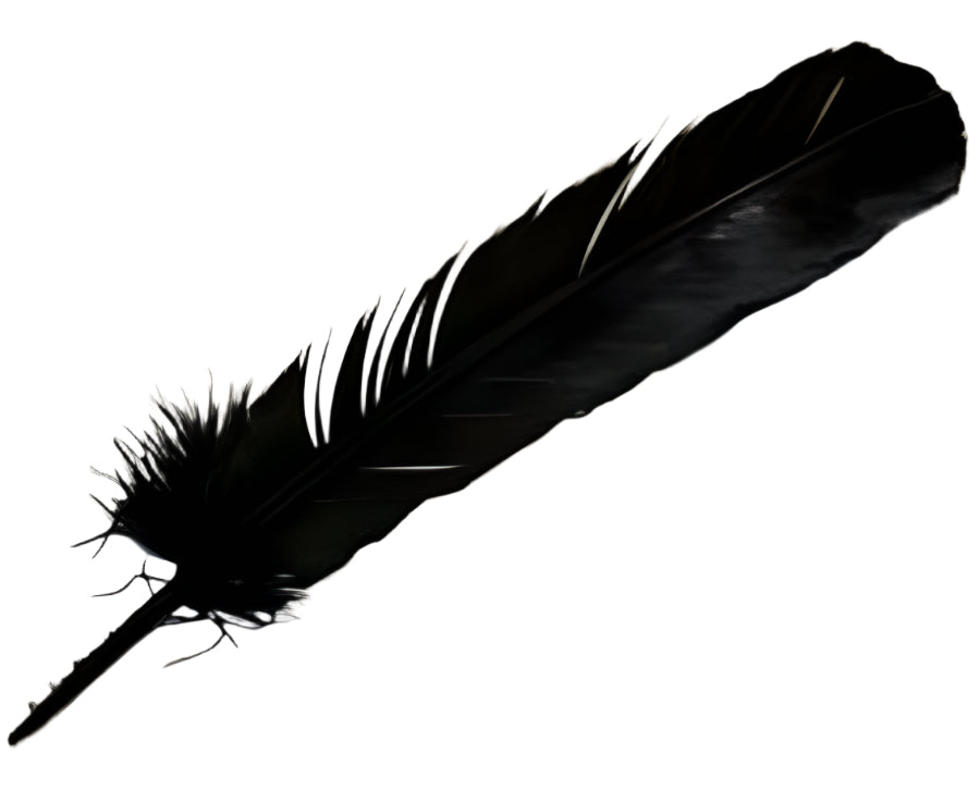 Smudging Feather - Assorted Styles