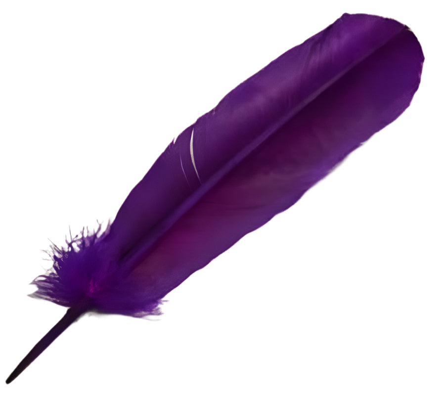 Smudging Feather - Assorted Styles