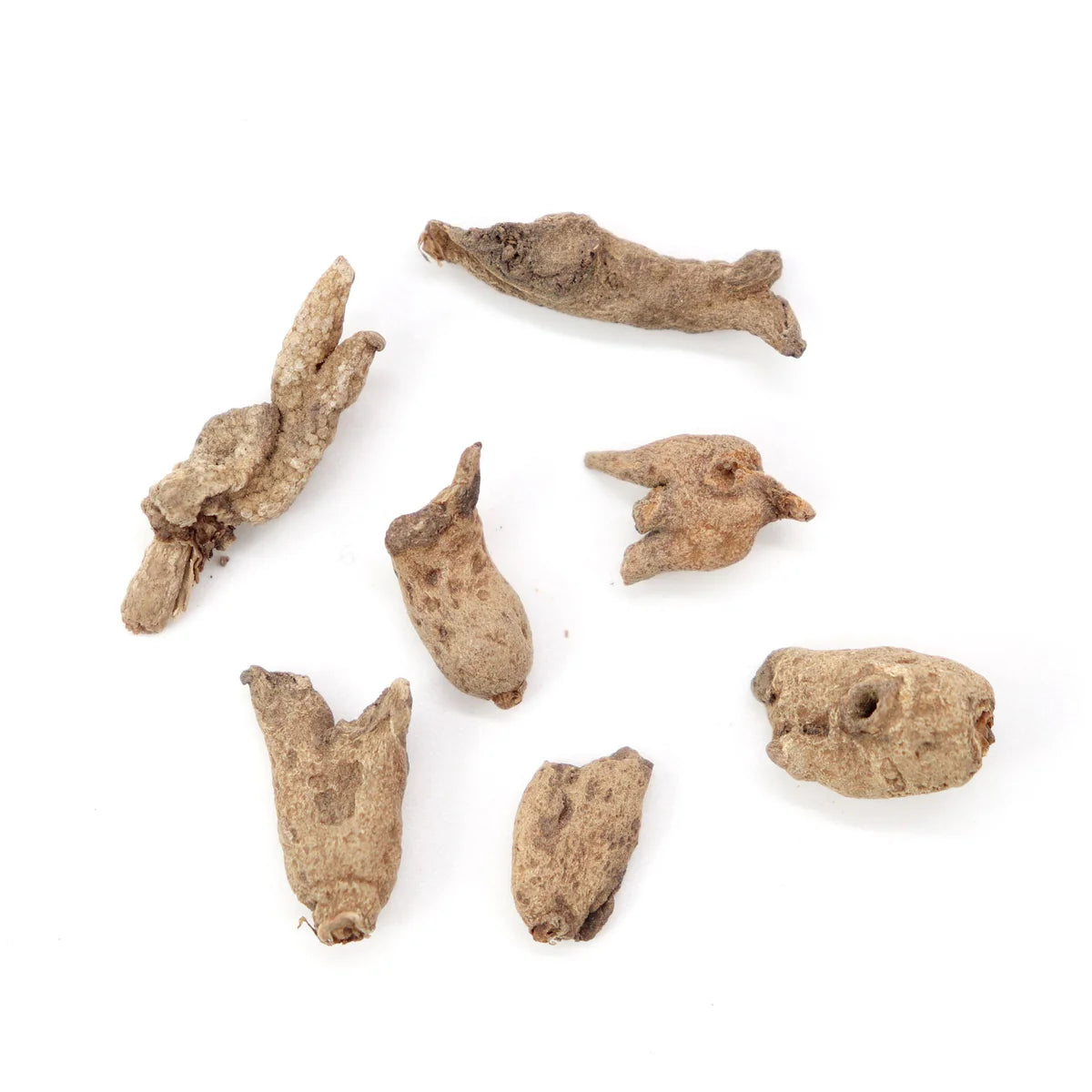 Lucky Hand Root (Hand of Power): Luck, Money & Success