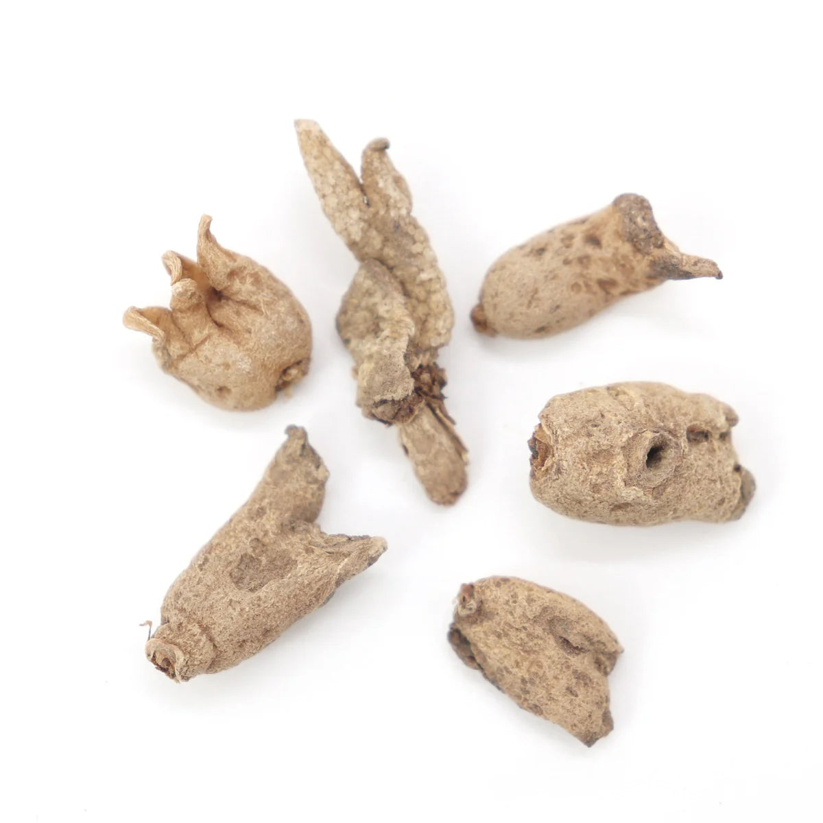 Lucky Hand Root (Hand of Power): Luck, Money & Success