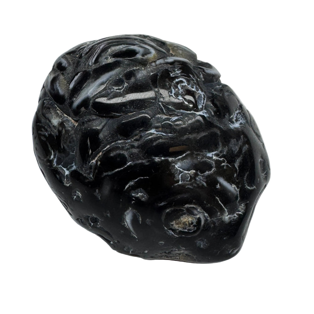 Agate Enhydro Water Included Polished Specimen