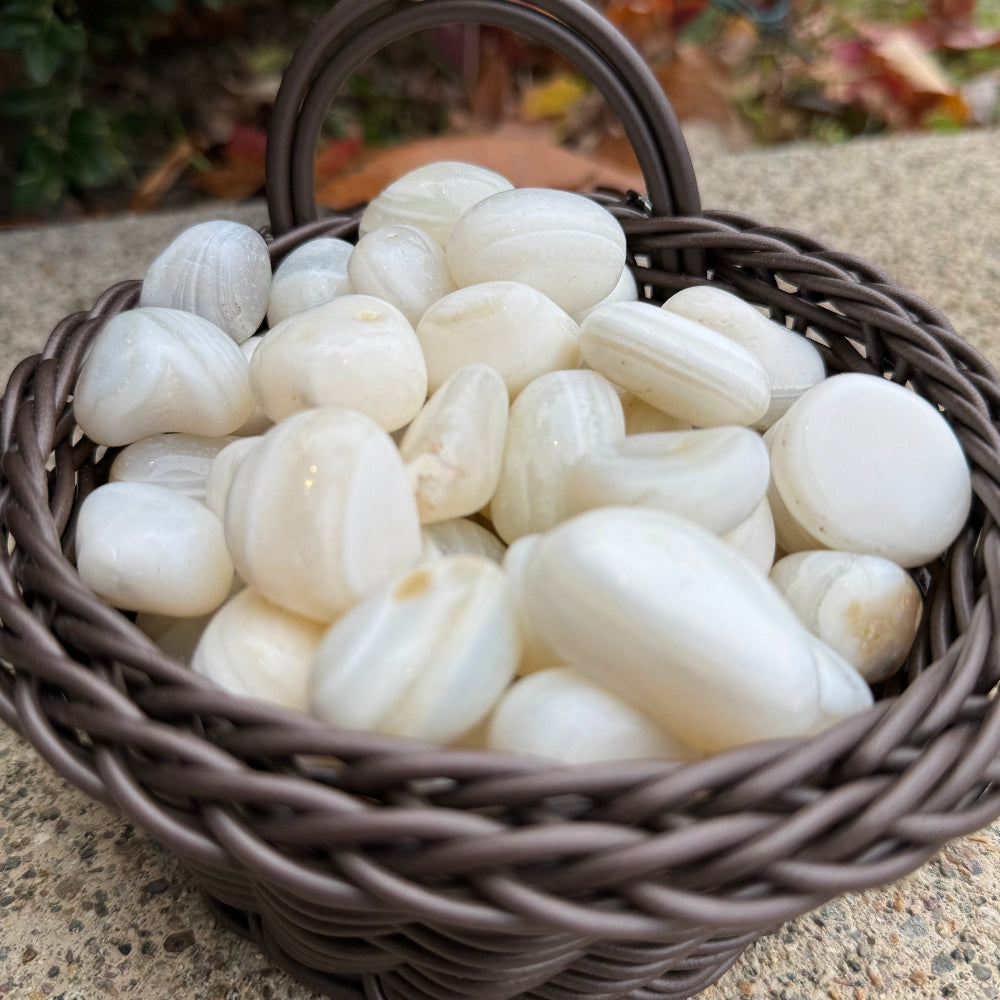 Basket filled with white stones on a concrete surface