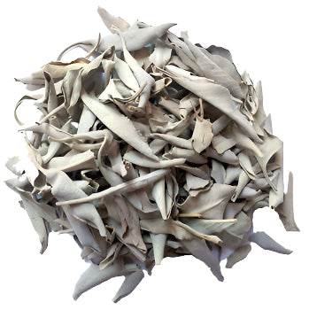 White Sage Leaves | Sacred Smudge Herb for Cleansing & Protection