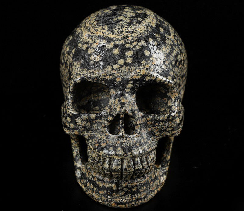 Leopard Skin Jasper Natural Crystal Skull Large 4.1&quot;