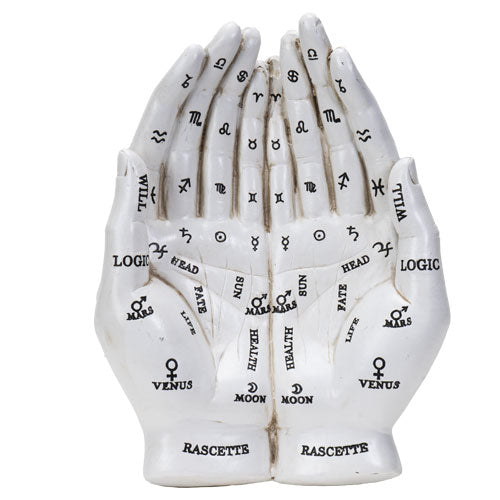 Chirology Palmistry Hands Holder
