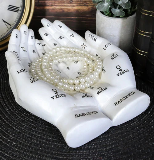Chirology Palmistry Hands Holder