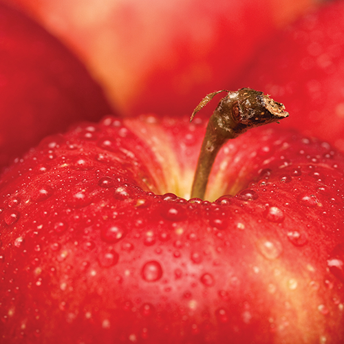 Macintosh Apple 2.5 oz Wax Melts