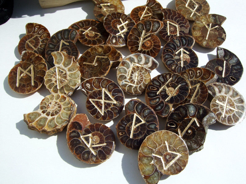 Ammonites Fossil Runes Set - Cast a Stone
