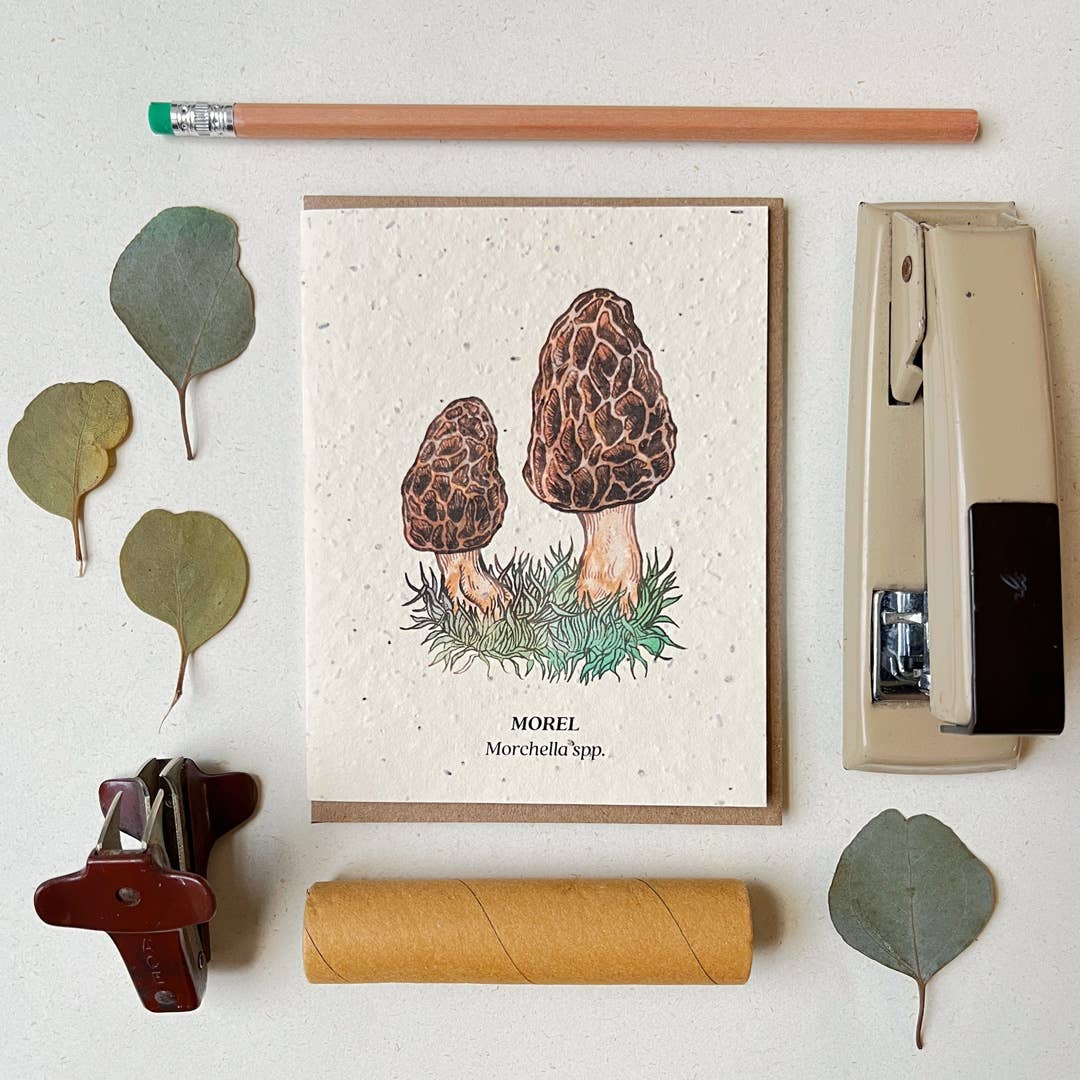 Morel Mushroom Greeting Card - Plantable Seed Paper