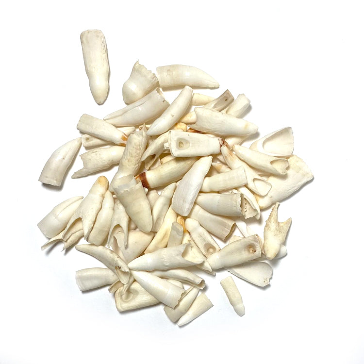 Claws, Jaws, and Such