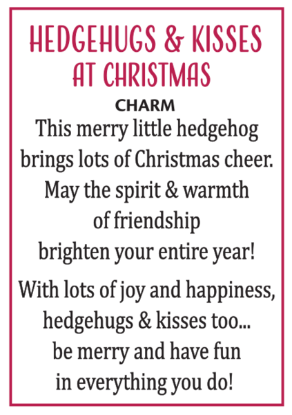 Little Christmas Hedgehog Pocket Charm