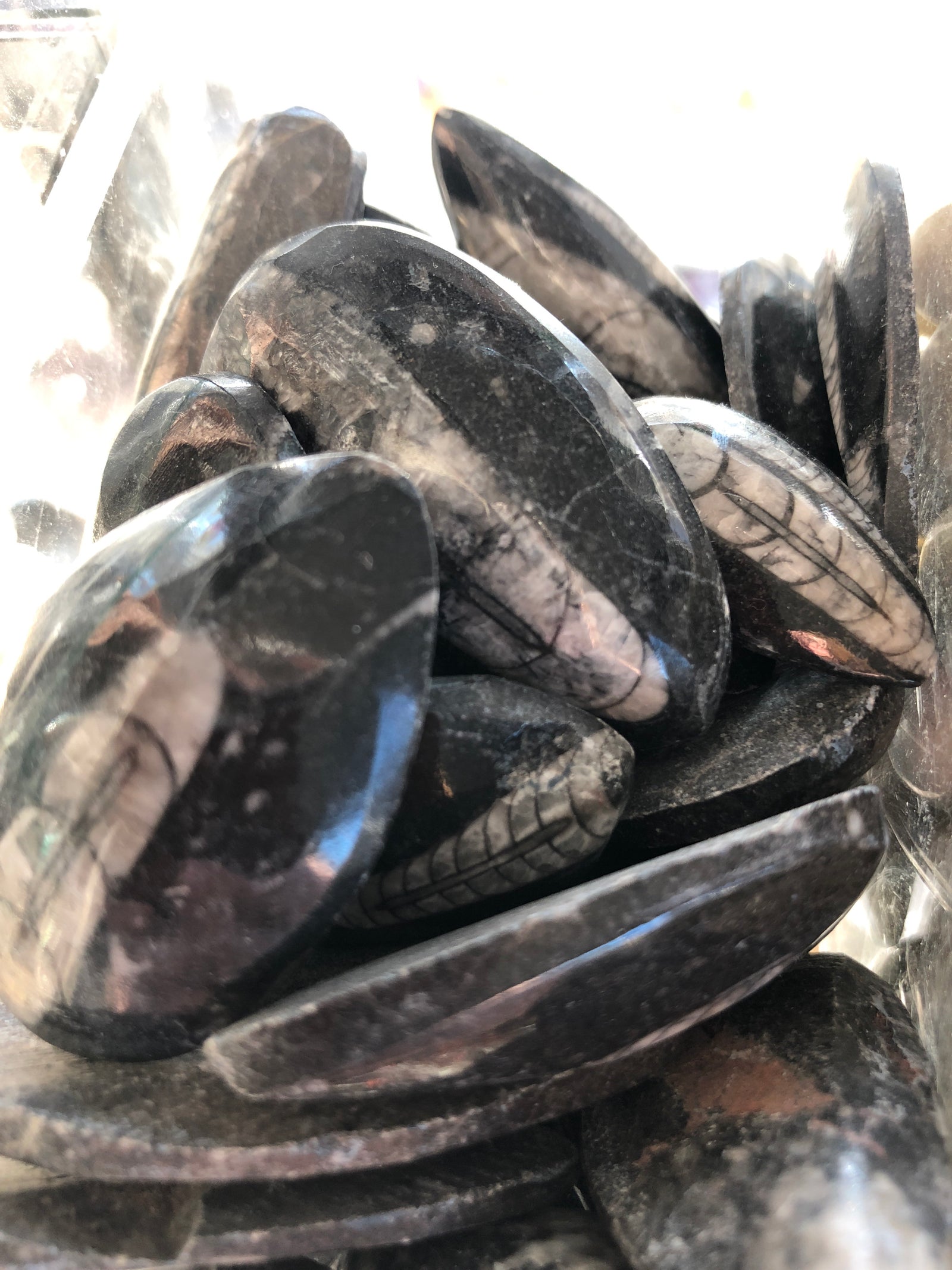 Orthoceras Fossil Single Tumbled Gemstone