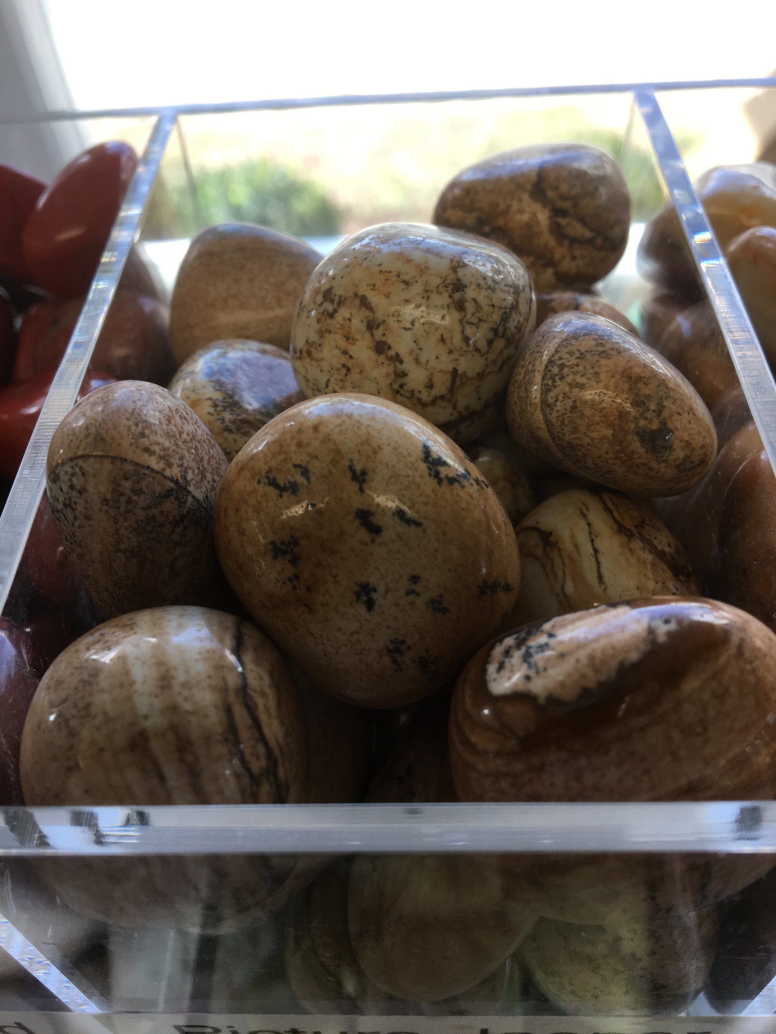 Picture Jasper Tumbled Gemstone