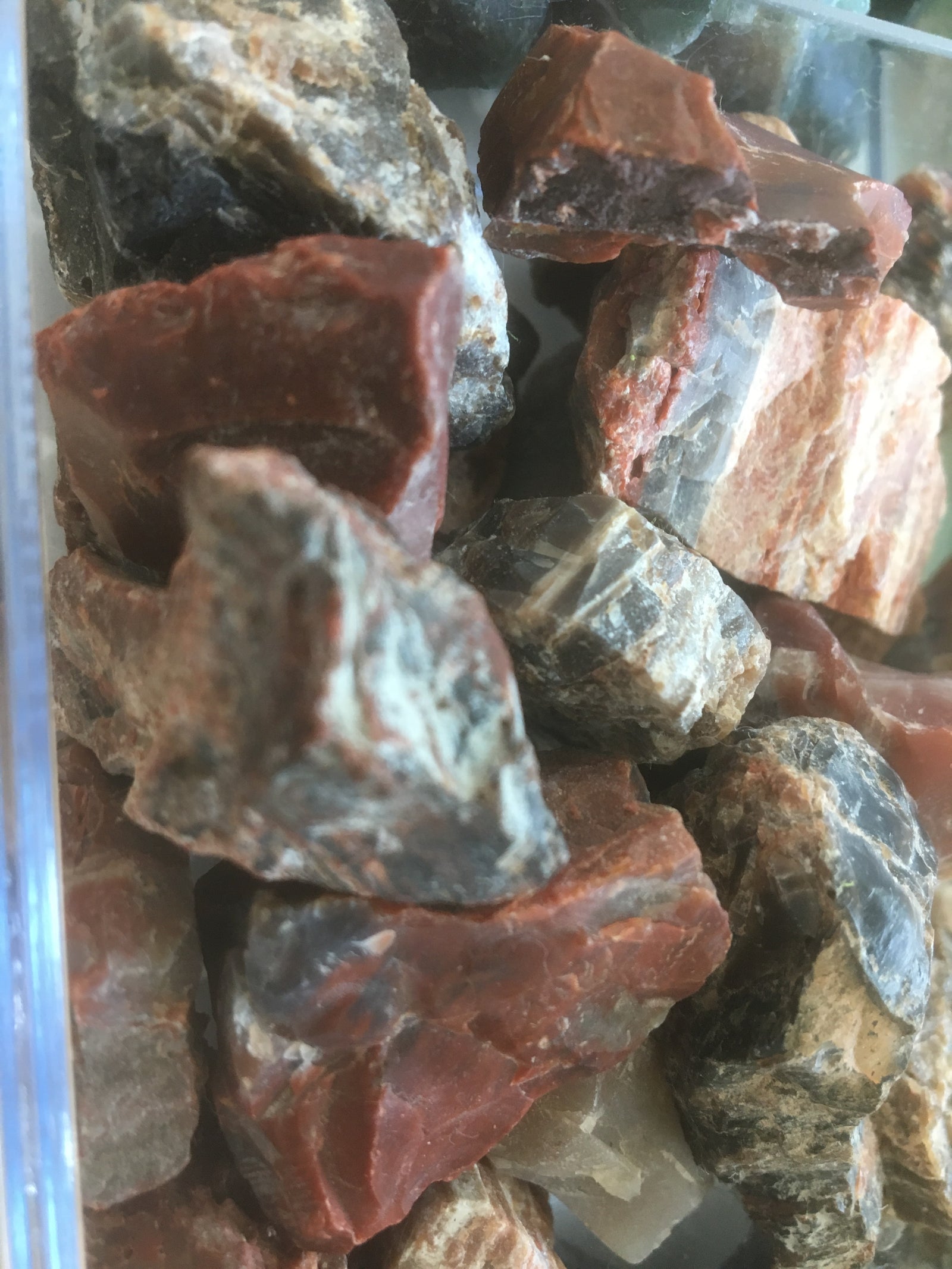 Petrified Wood Natural Gemstone