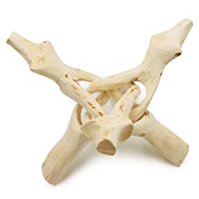 Wooden Tripod Natural Stand 6"