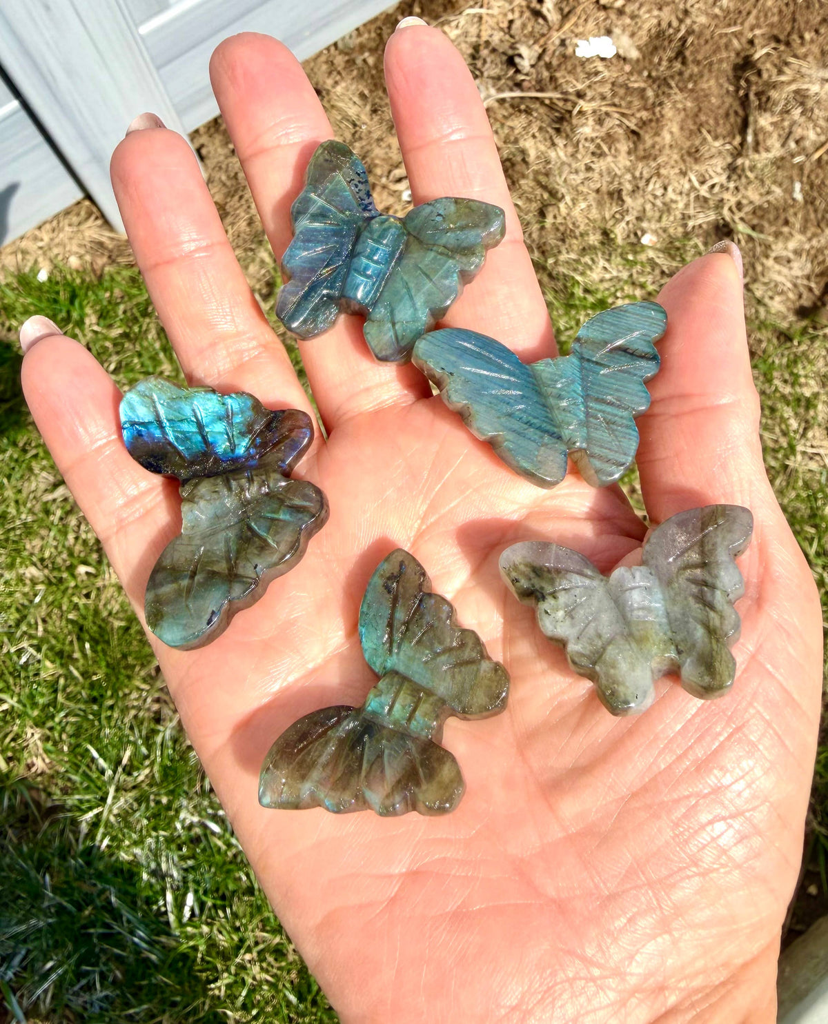 Labradorite Butterfly Carving Natural Crystal Healing Energy
