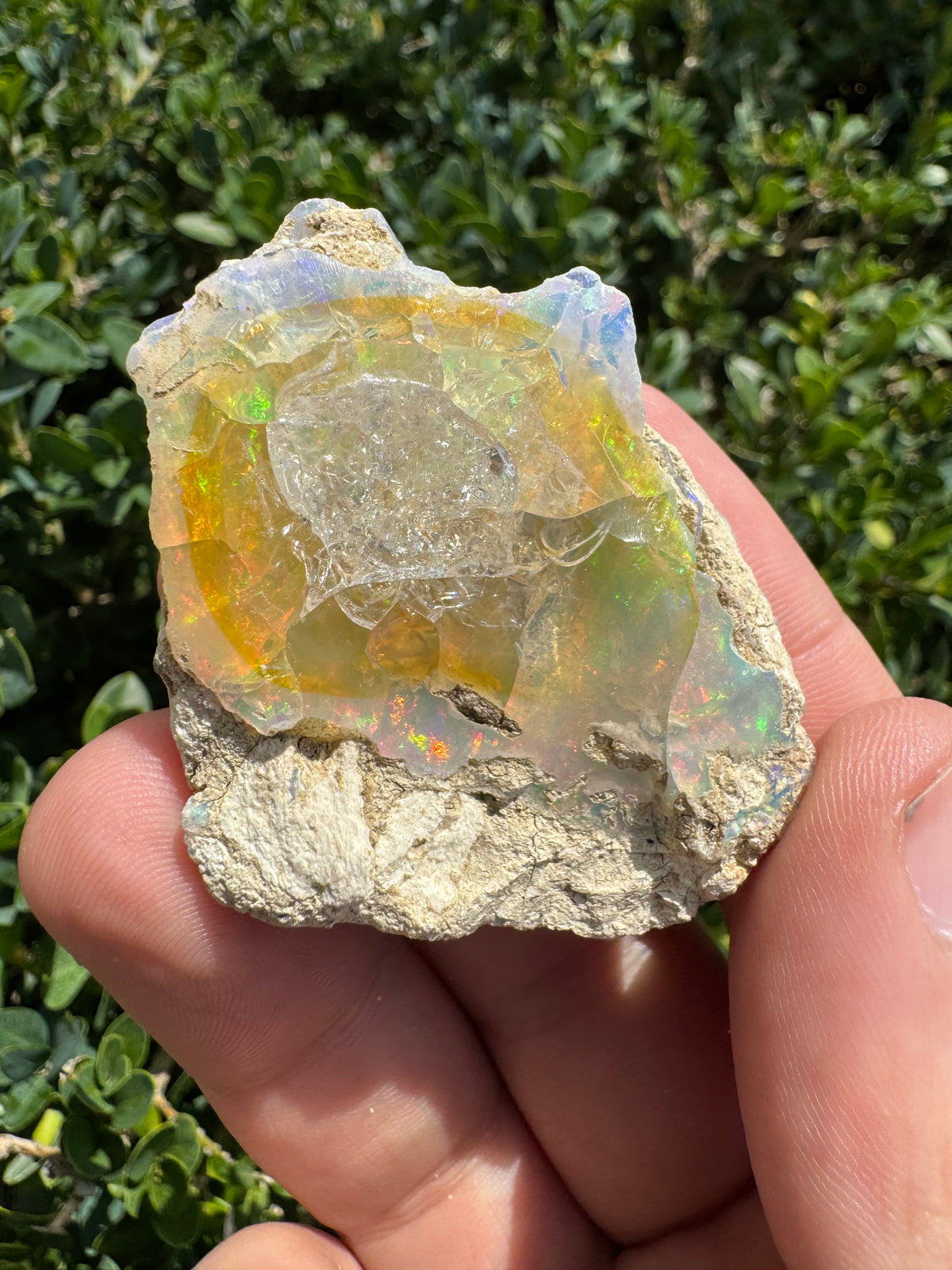 Ethiopian Welo Opal – 170 ct Natural Specimen