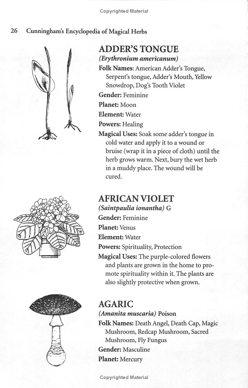 Cunningham's Encyclopedia of Magical Herbs