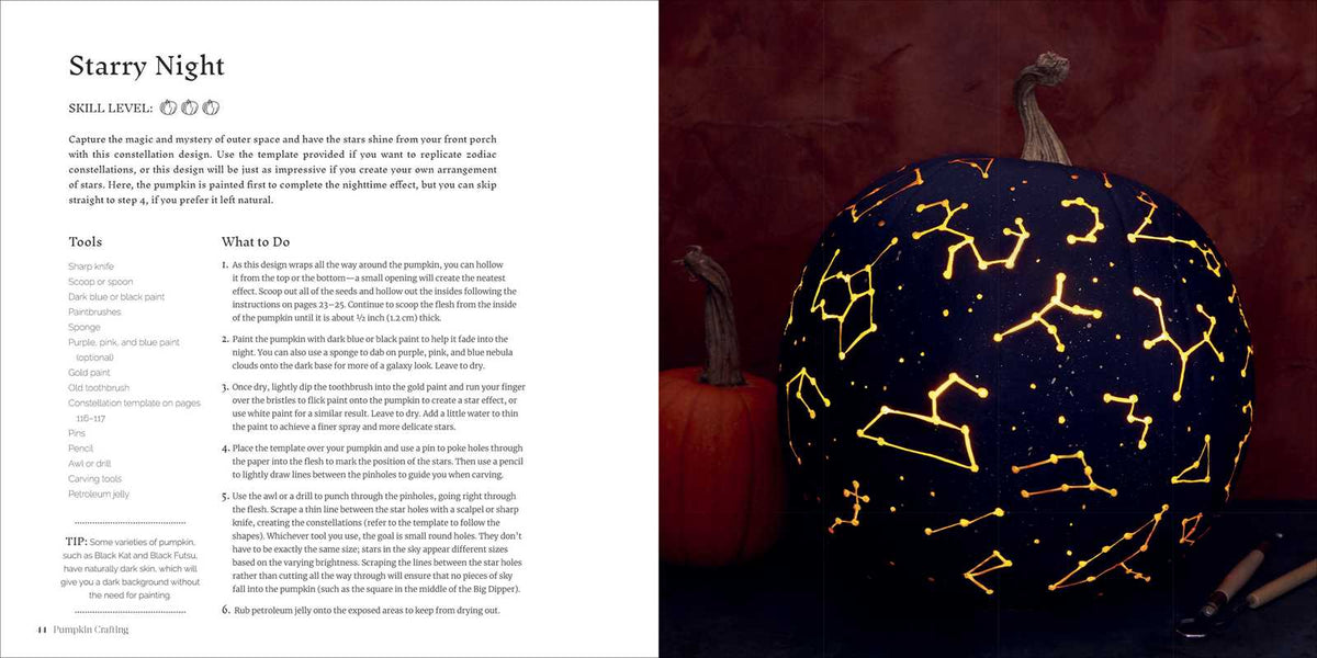 Pumpkin Crafting for Carving, Painting, and Decorating!