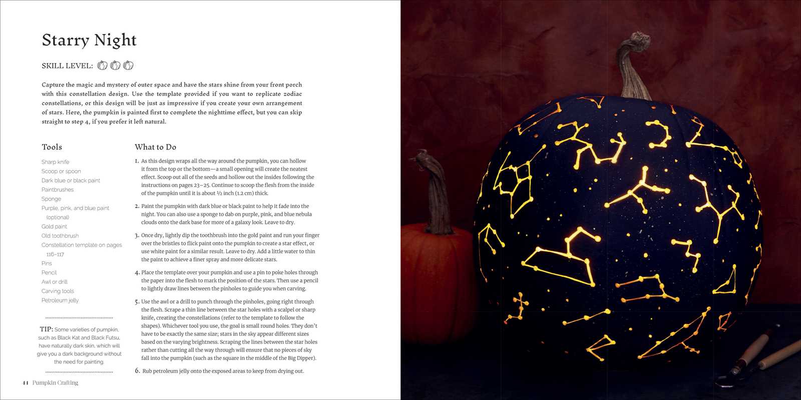 Pumpkin Crafting for Carving, Painting, and Decorating!