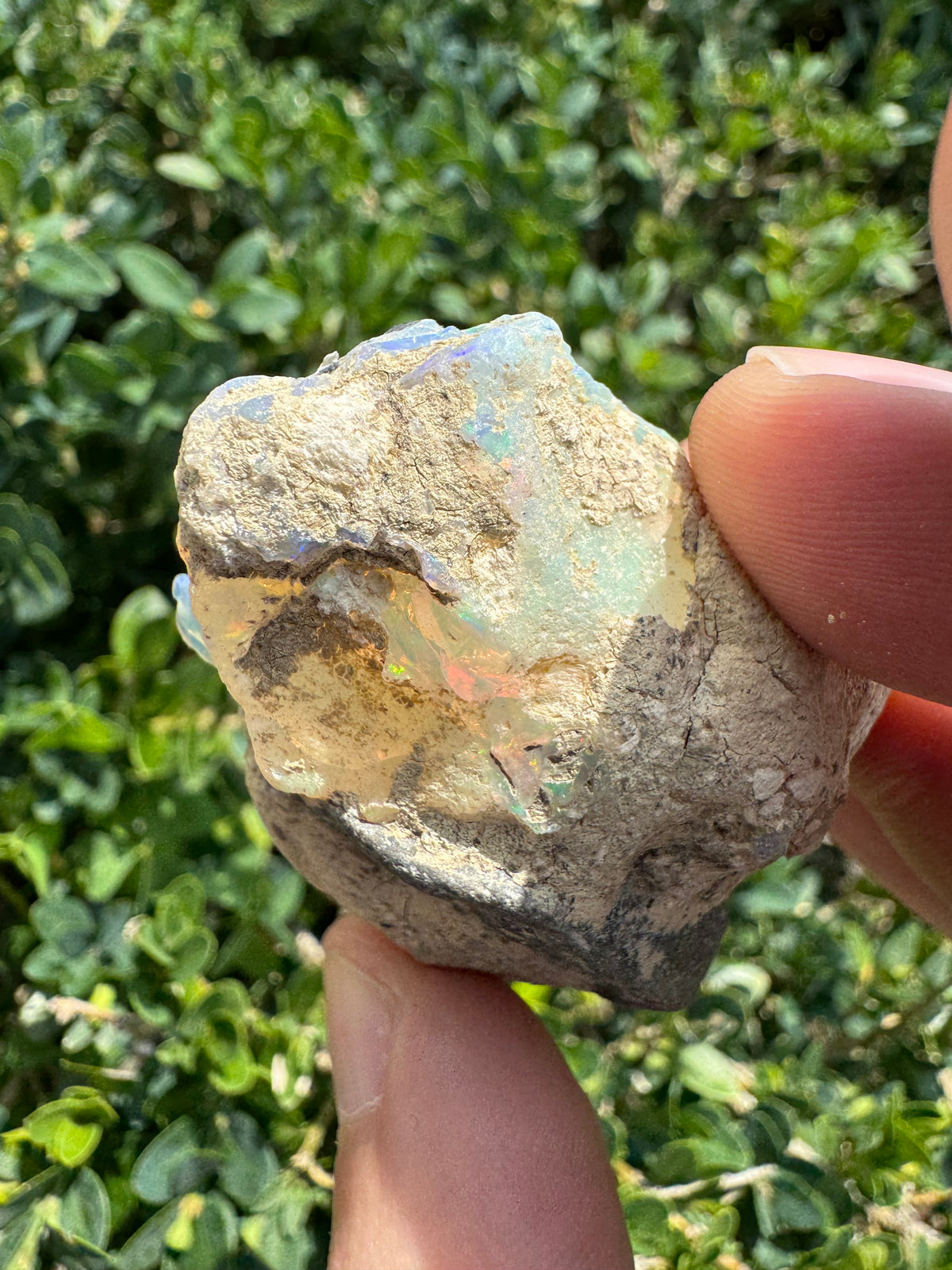 Ethiopian Welo Opal – 170 ct Natural Specimen