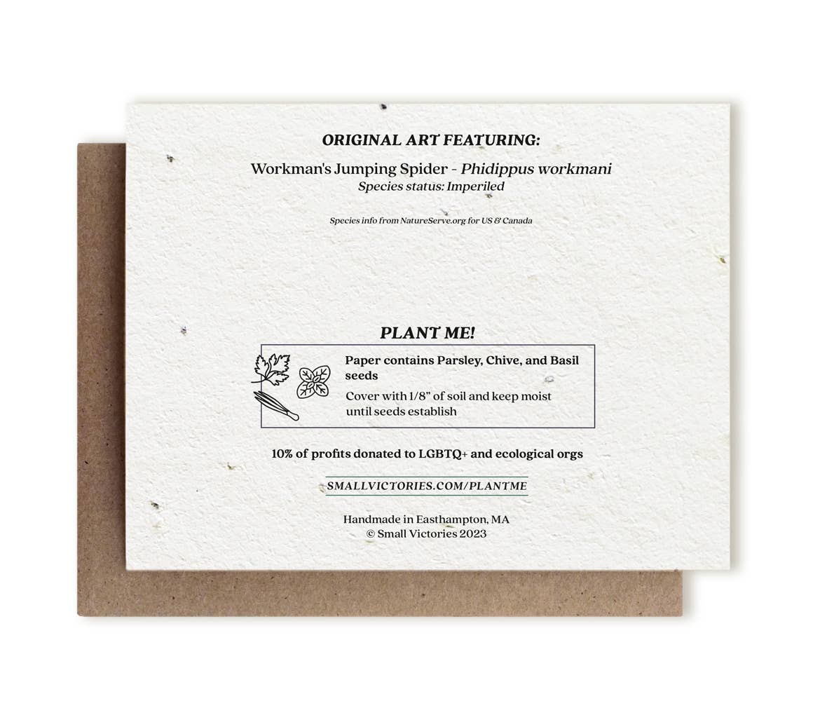 I Only Have Eyes for You Spider Greeting Card - Plantable Seed Paper