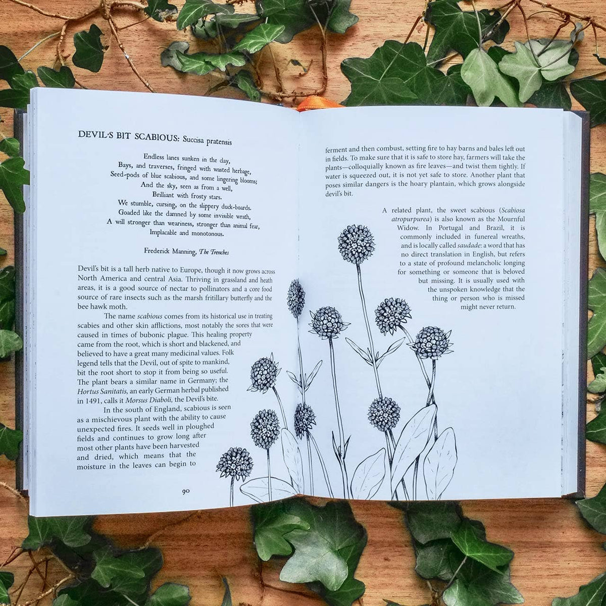 Botanical Curses and Poisons: The Shadow-Lives of Plants (Co