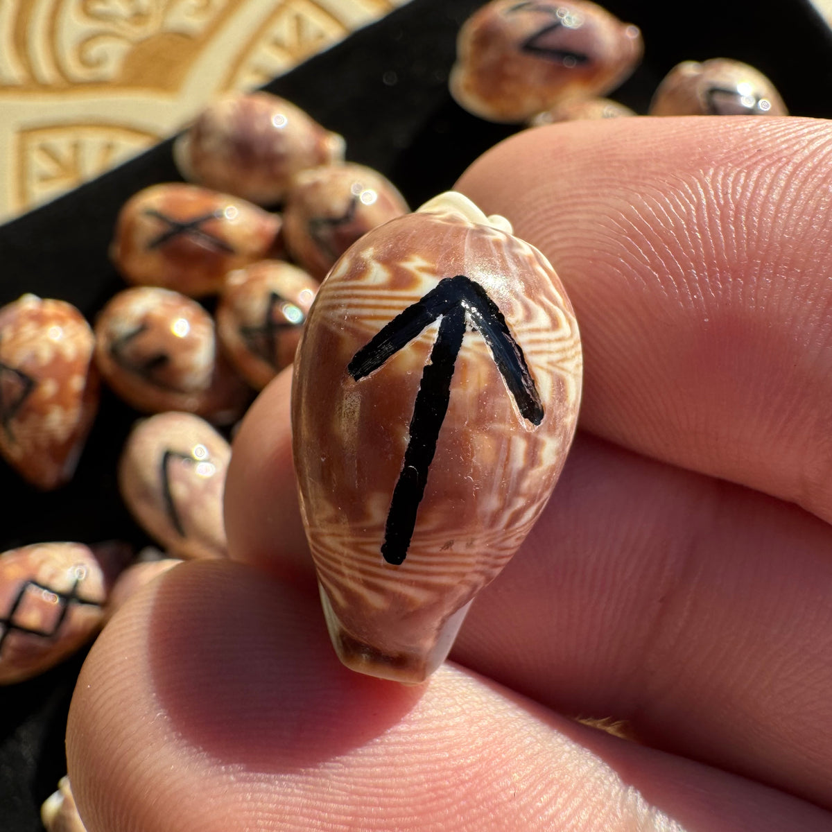 Cowrie Shell Rune Set of 25 – Hand-Engraved Natural Shell Runes