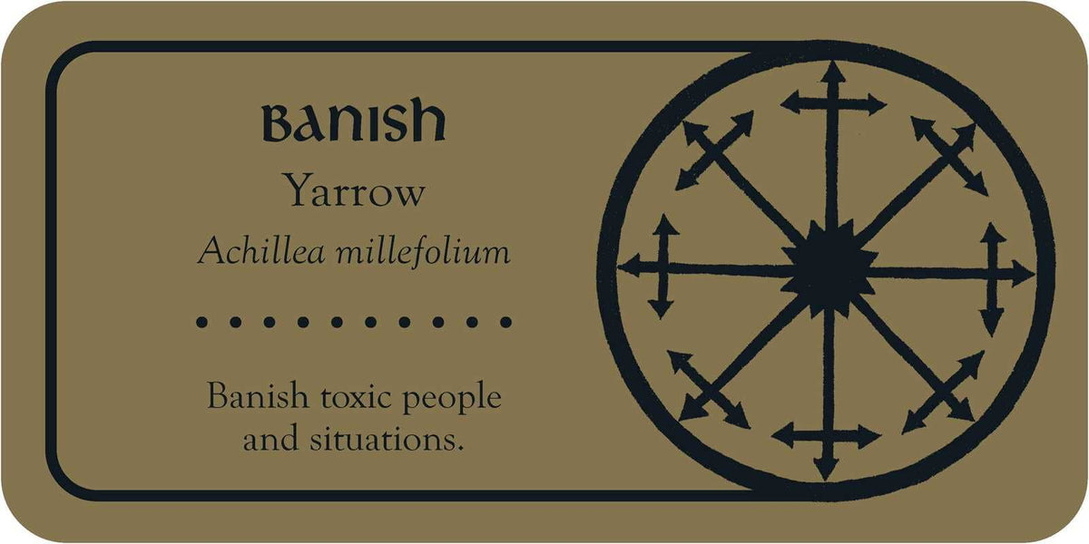 Medieval Herb Sigils by Priestess Moon