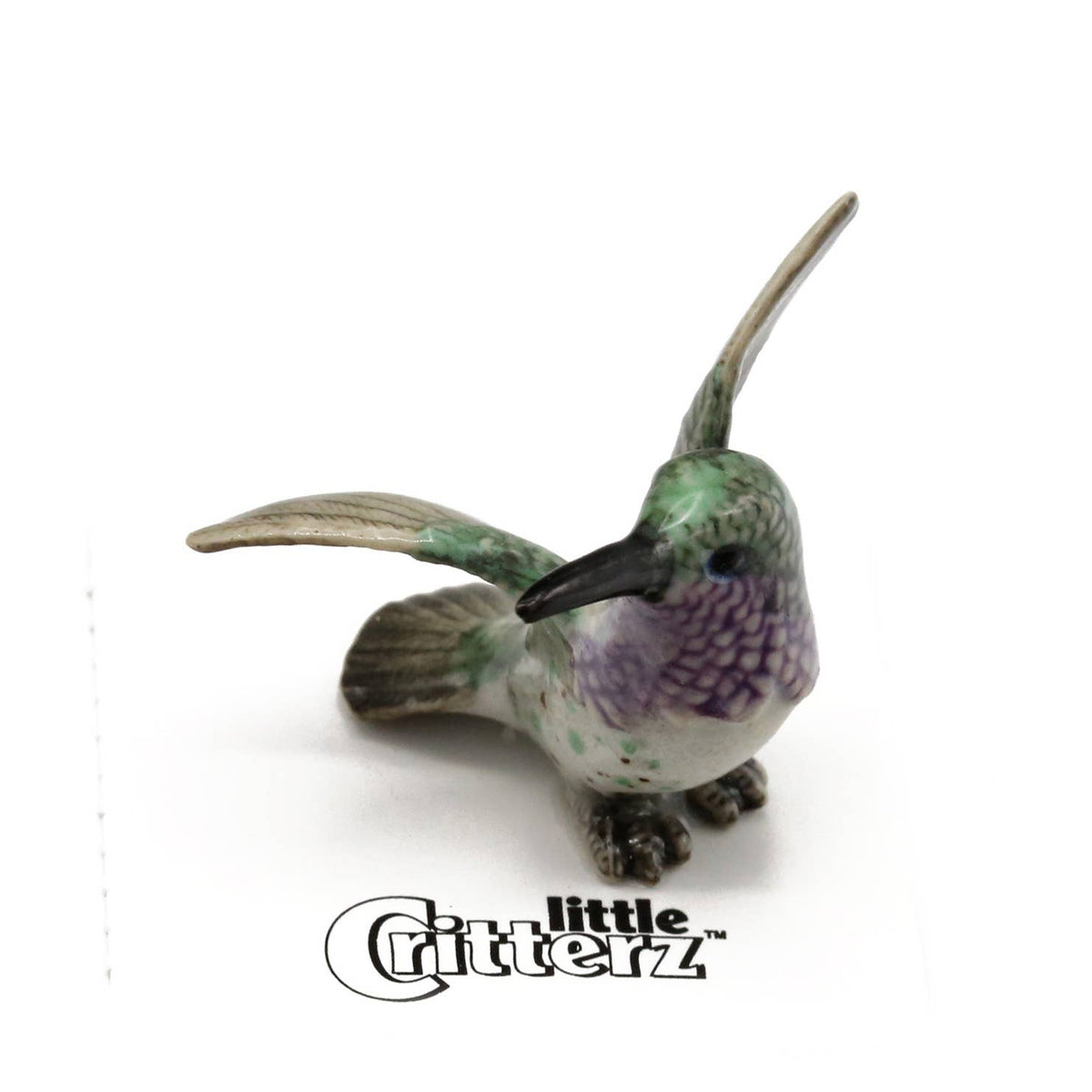 Sheartail Lucifer Hummingbird Porcelain Miniature
