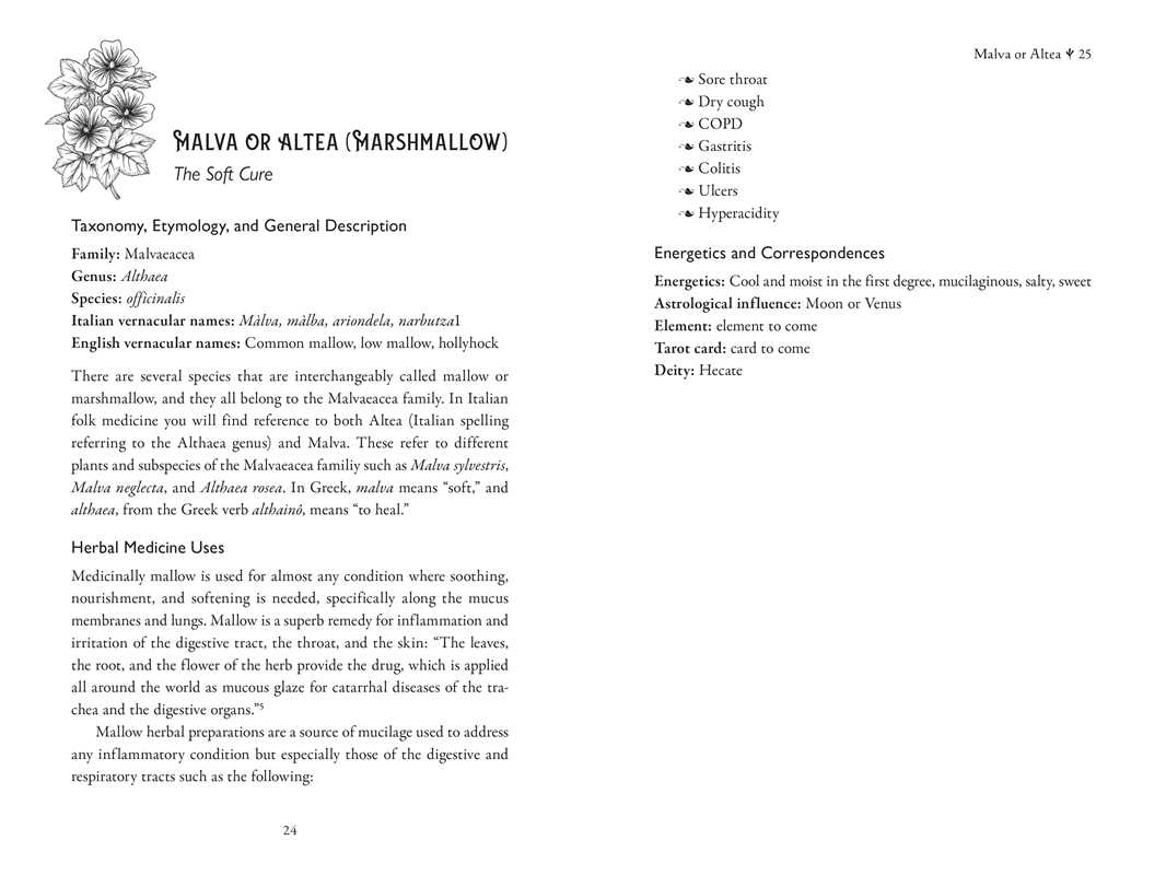 Della Medicina by Lisa Fazio