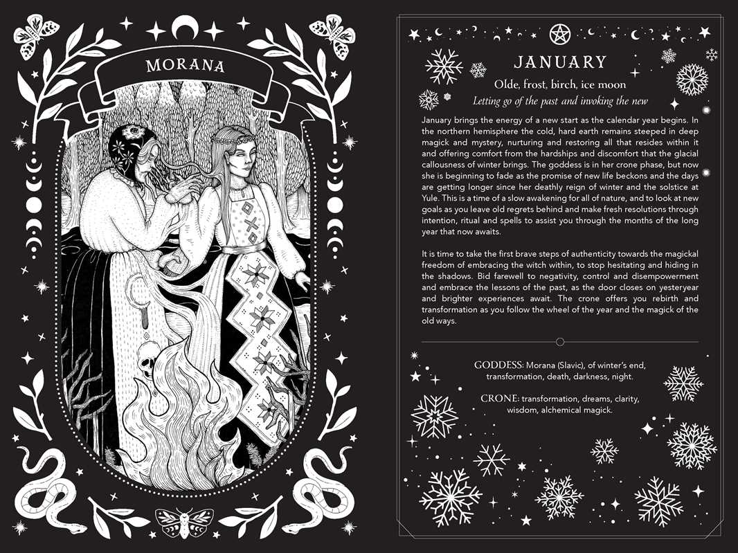 2027 Witch's Diary and Planner Calendar - Northern Hemisphere by Flavia  Kate Peters
